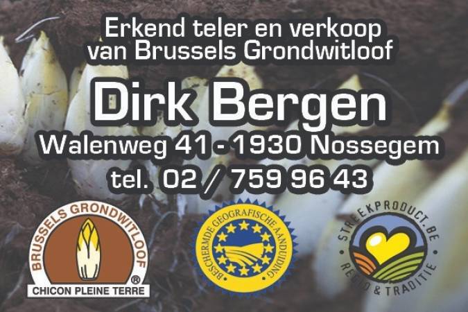tn_005_Dirk_Bergen